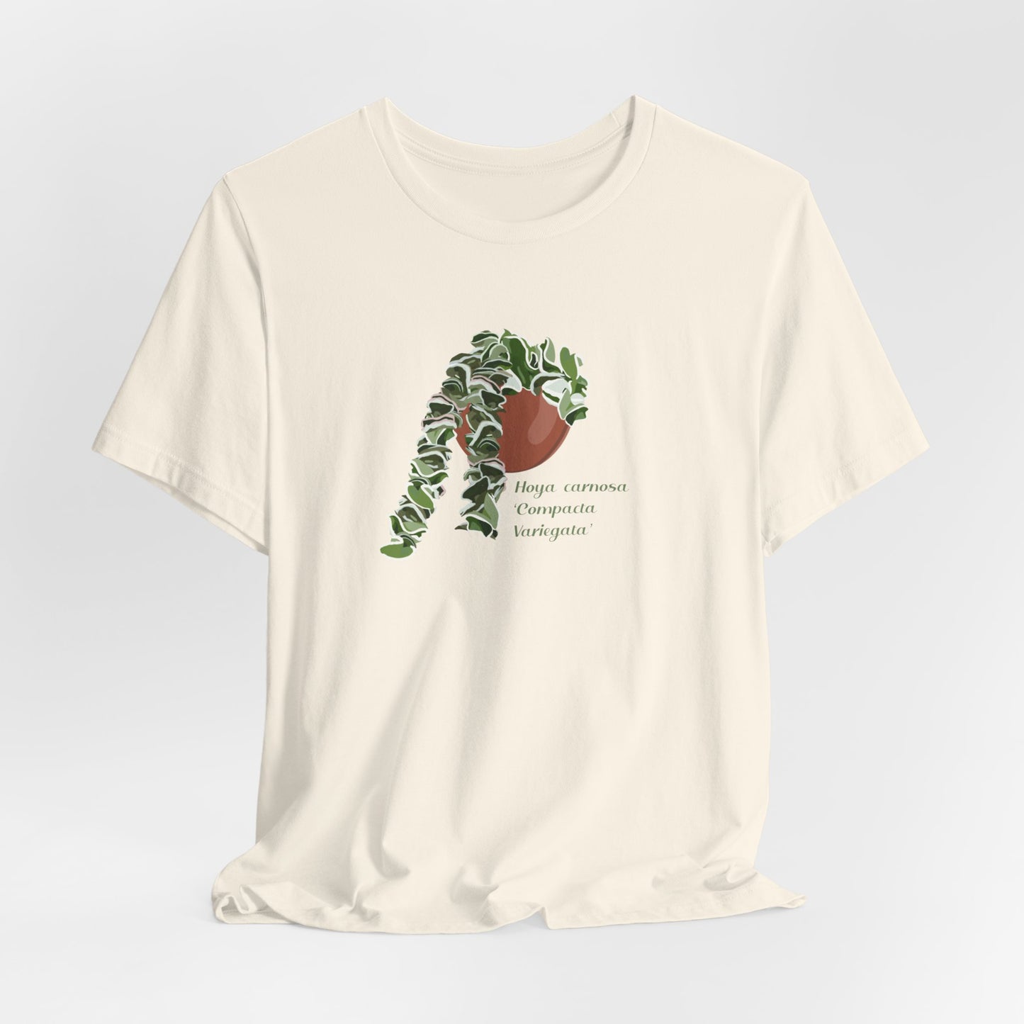 Hoya Carnosa 'Compacta Variegata' Plant Lover T-shirt - White, Natural, Black