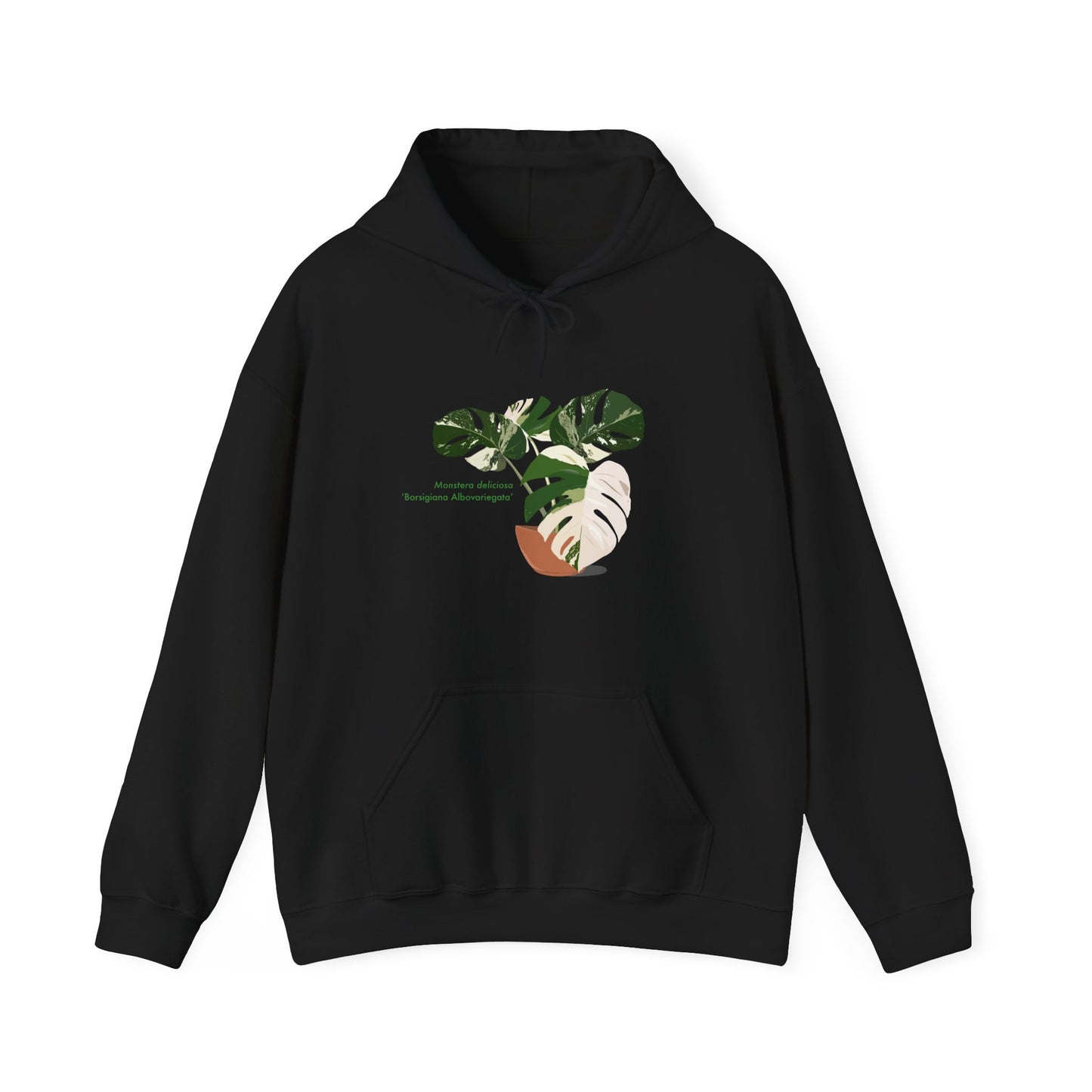 Monstera Deliciosa Borsigiana Albovariegata Hoodie