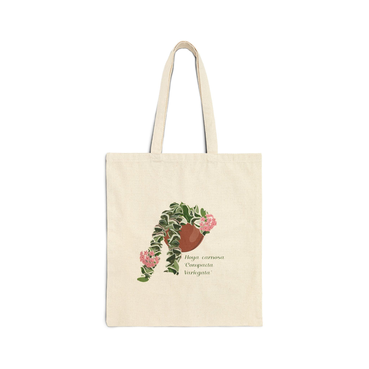 Blooming Hoya Carnosa Compacta Variegata 'Hindu Rope' Canvas Tote Bag | Potted Houseplant Illustration, Plant Lover Tote