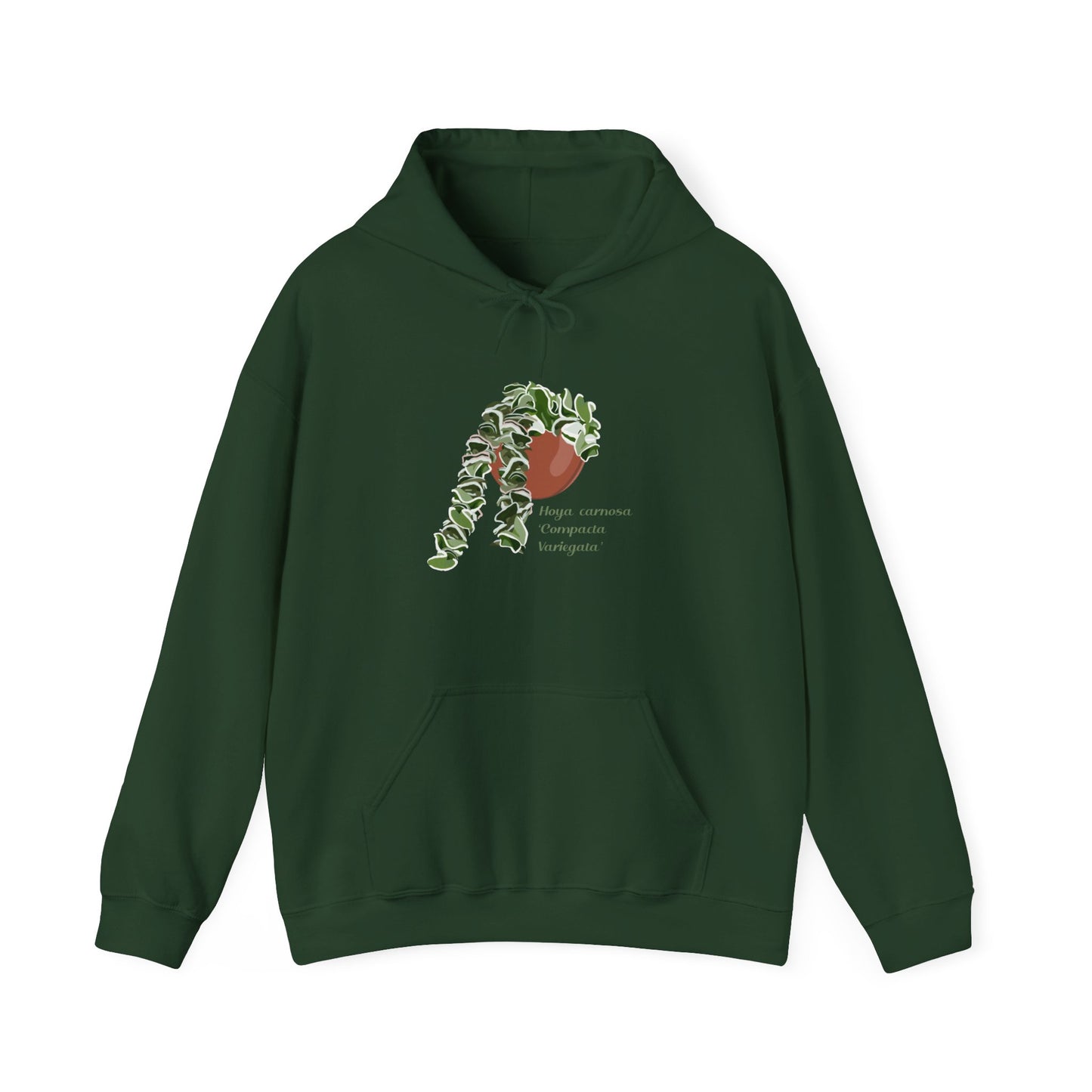 Hoya Carnosa 'Compacta Variegata' Hindu Rope Hoodie