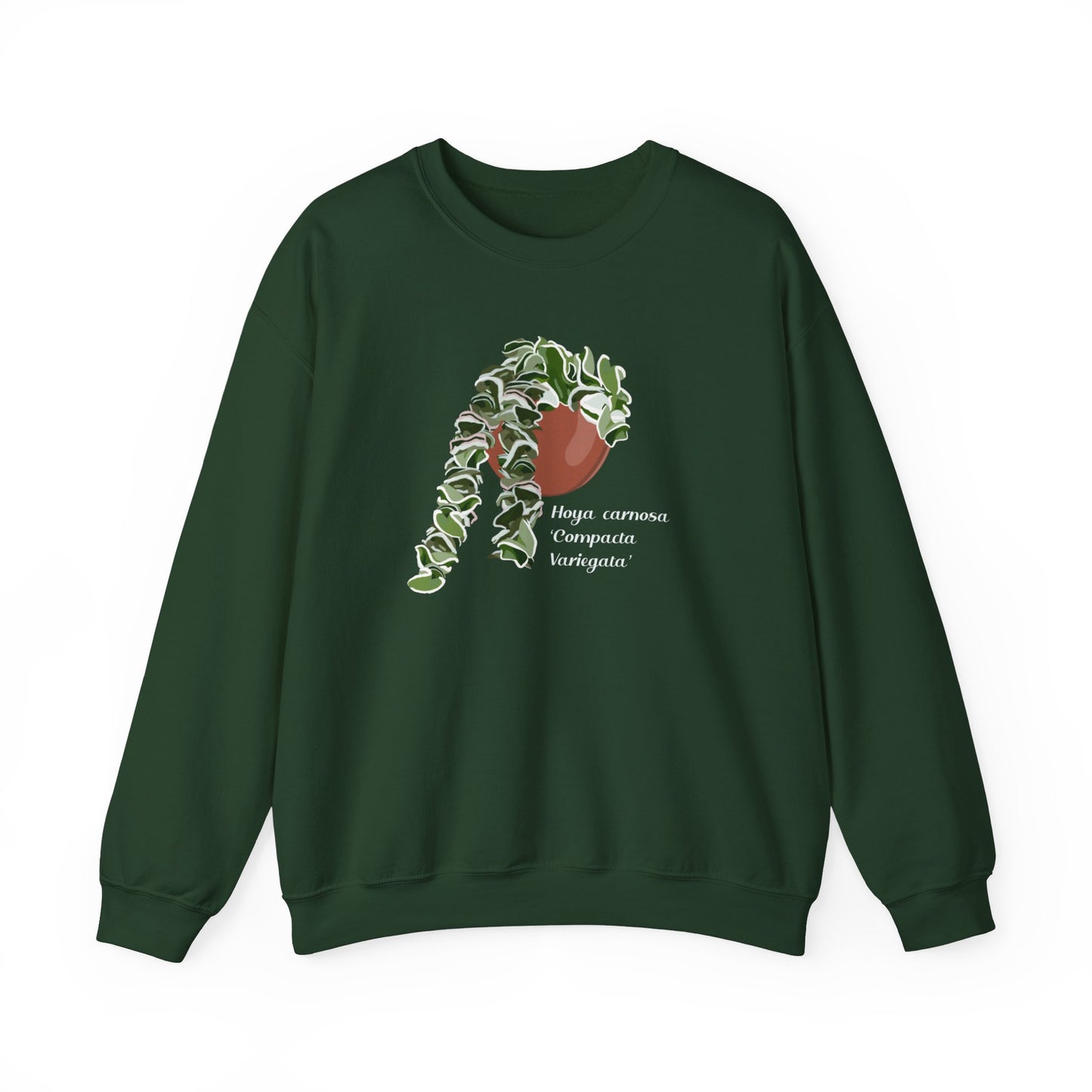 Hoya Carnosa 'Compacta Variegata' Plant Lover Crew Neck Sweatshirt - Forest Green