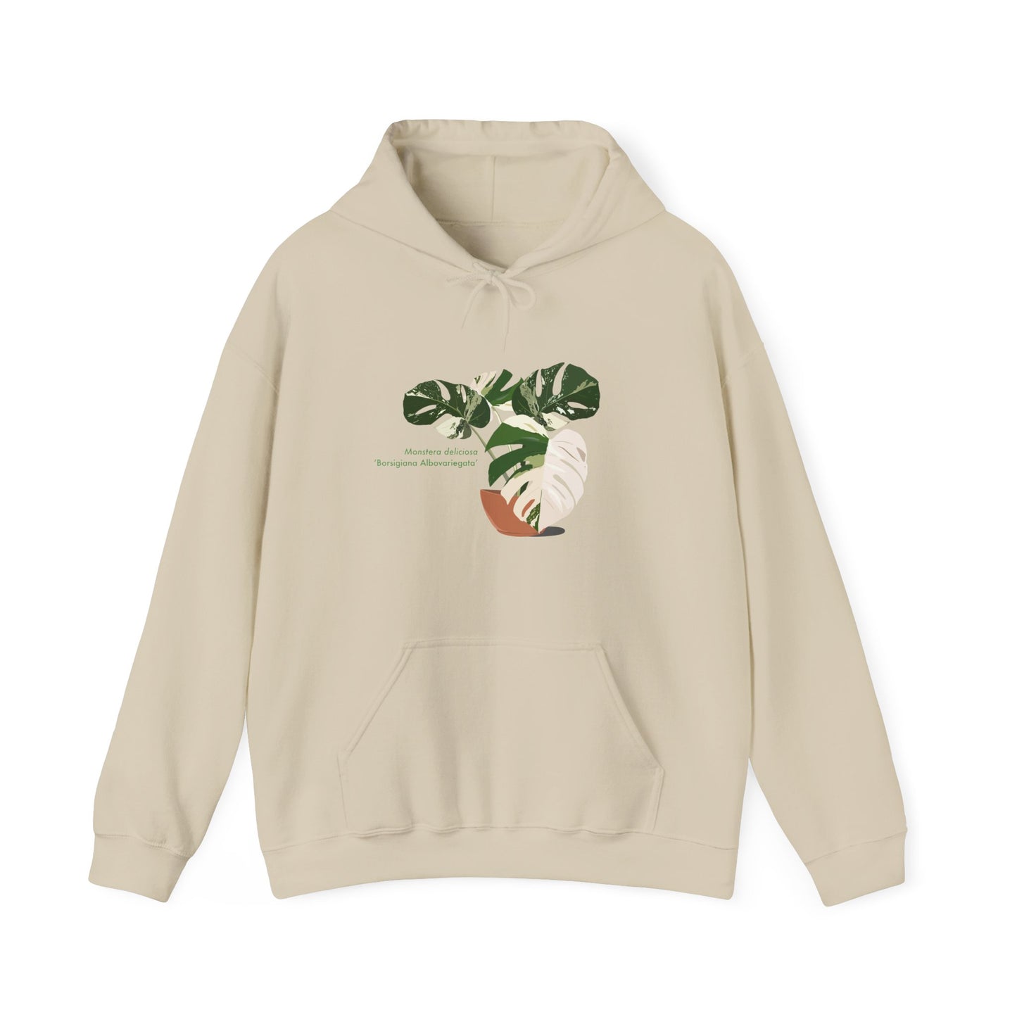 Monstera Deliciosa Borsigiana Albovariegata Hoodie