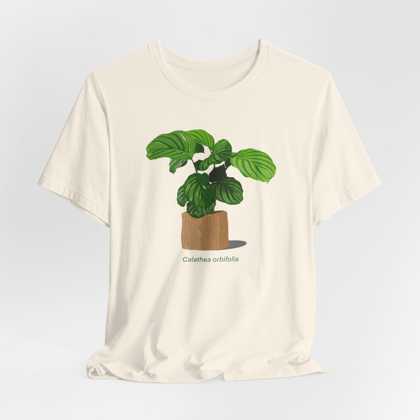 Calathea Orbifolia Plant Lover T-Shirt - White, Natural, Black