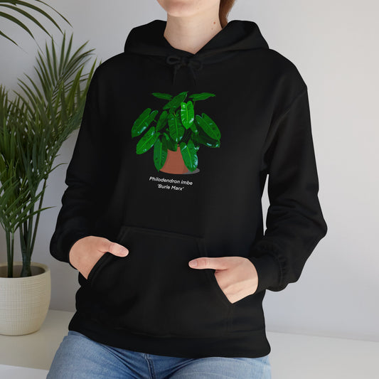 Philodendron Imbe 'Burle Marx' Plant Hoodie - Black