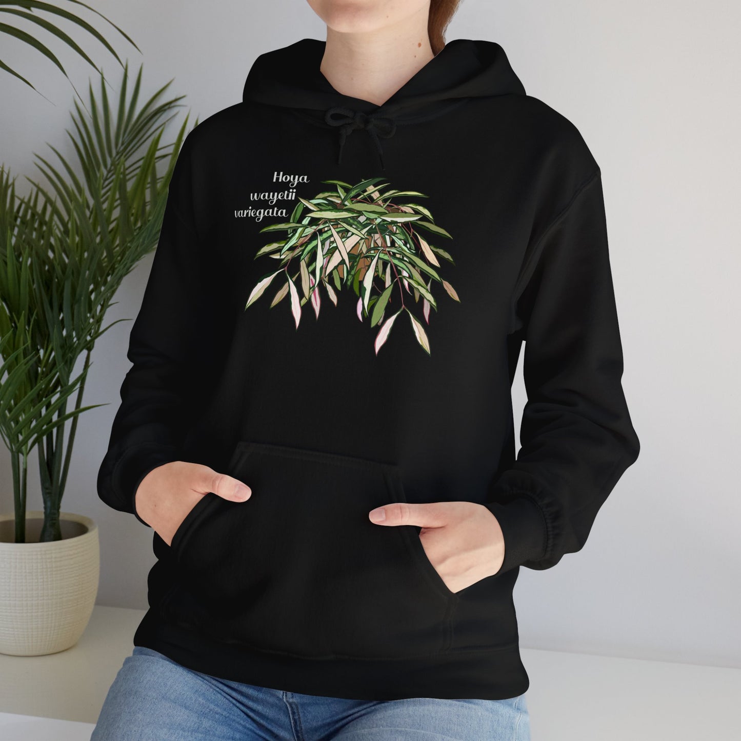 Hoya Wayetii Variegata Plant Hoodie - Black