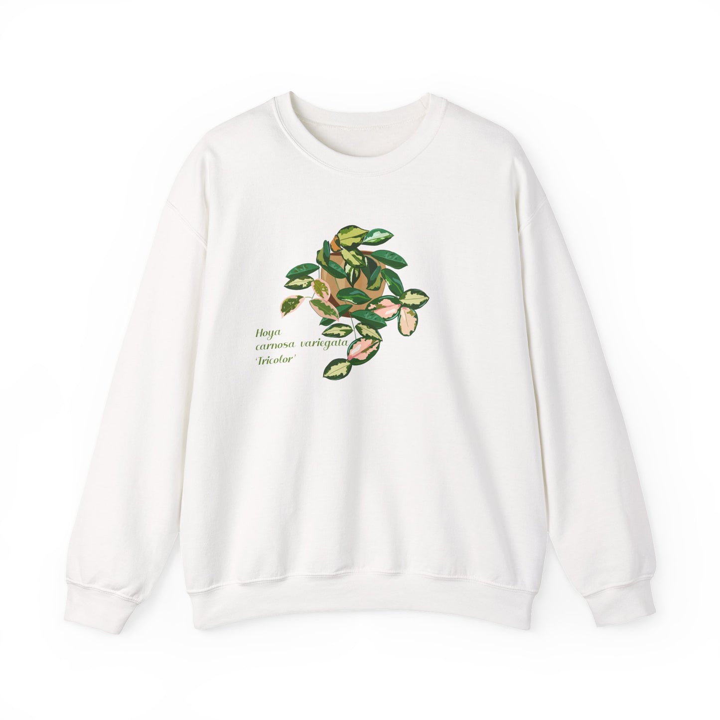 Hoya Carnosa Variegata Tricolor Plant Lover Crewneck Sweatshirt