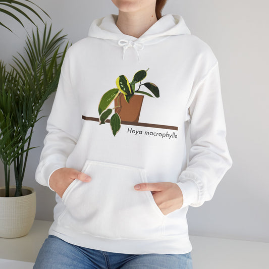 Hoya Macrophylla Plant Hoodie - White