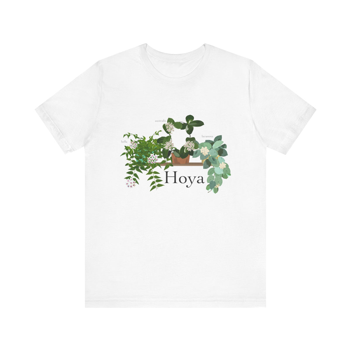 Hoya Lacunosa, Bella, & Australis Trio T-Shirt for Plant Lovers - White, Natural