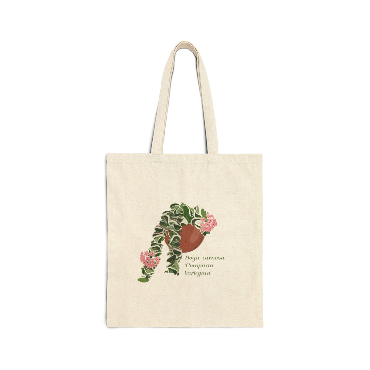 Blooming Hoya Carnosa Compacta Variegata 'Hindu Rope' Canvas Tote Bag | Potted Houseplant Illustration, Plant Lover Tote