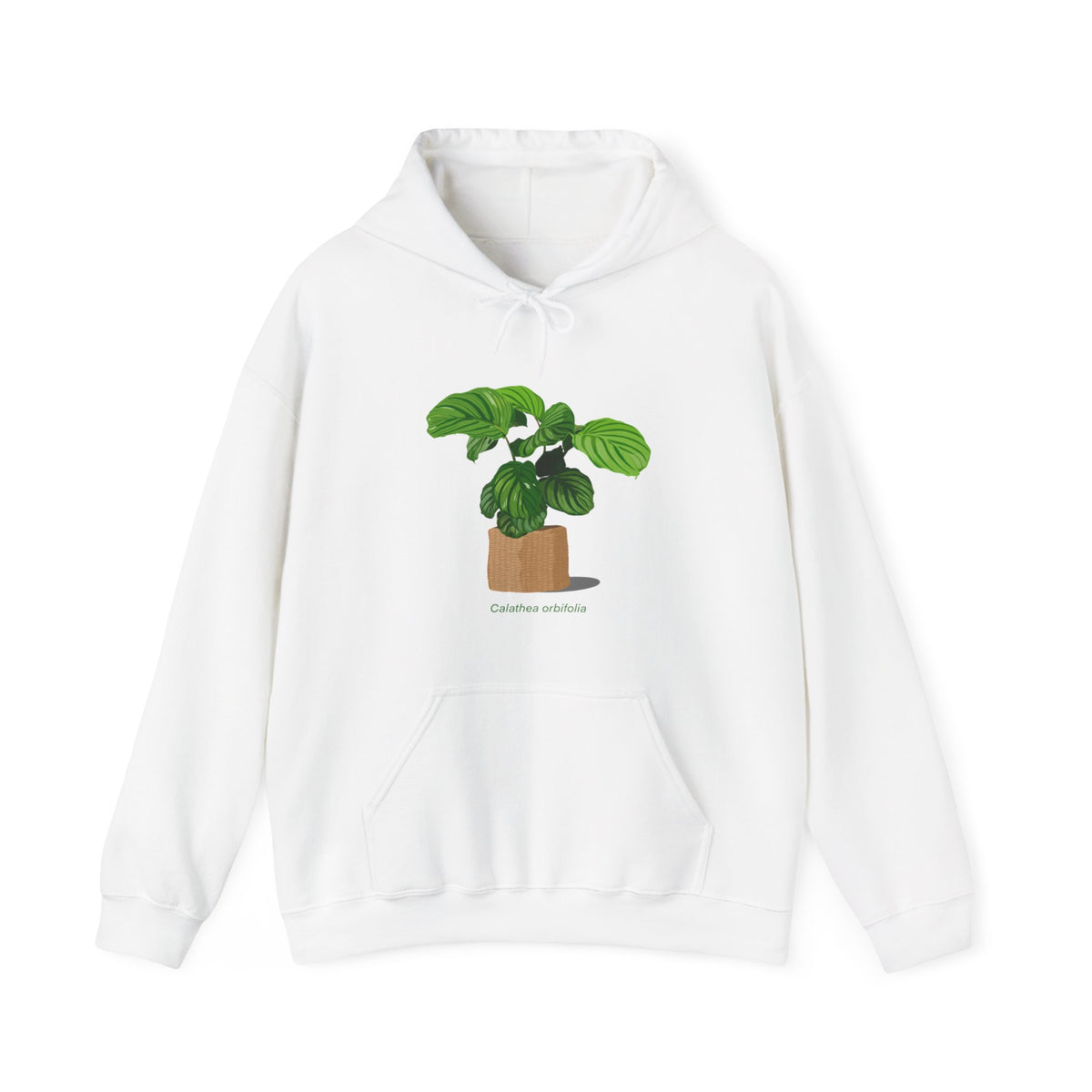 Calathea Orbifolia Plant Hoodie