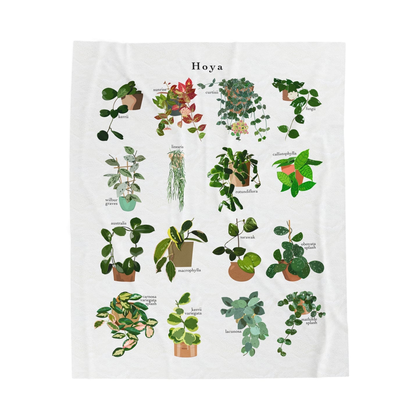 Hoya Chart Plant Lover Cozy Plush Blanket