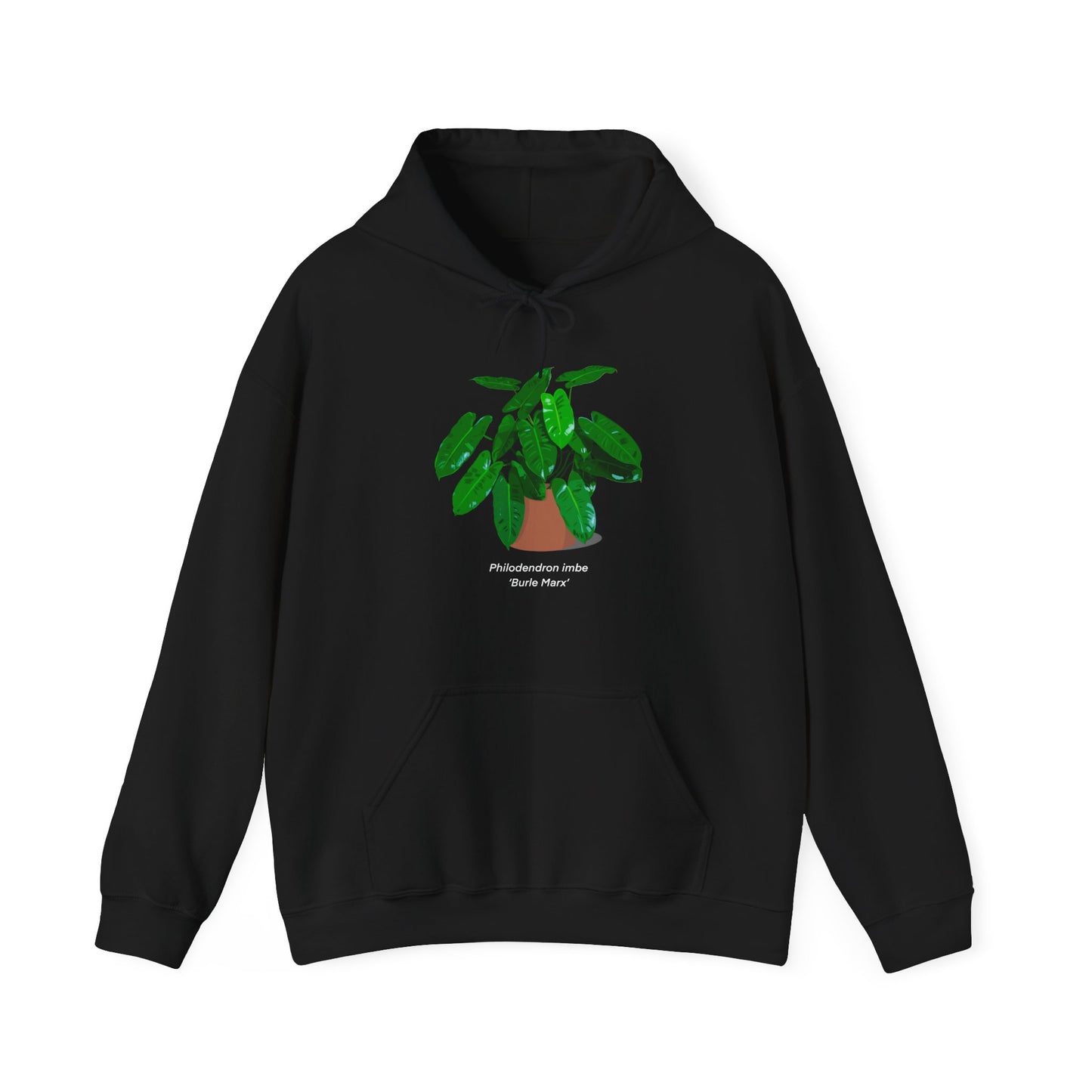 Philodendron Imbe 'Burle Marx' Plant Hoodie - Black