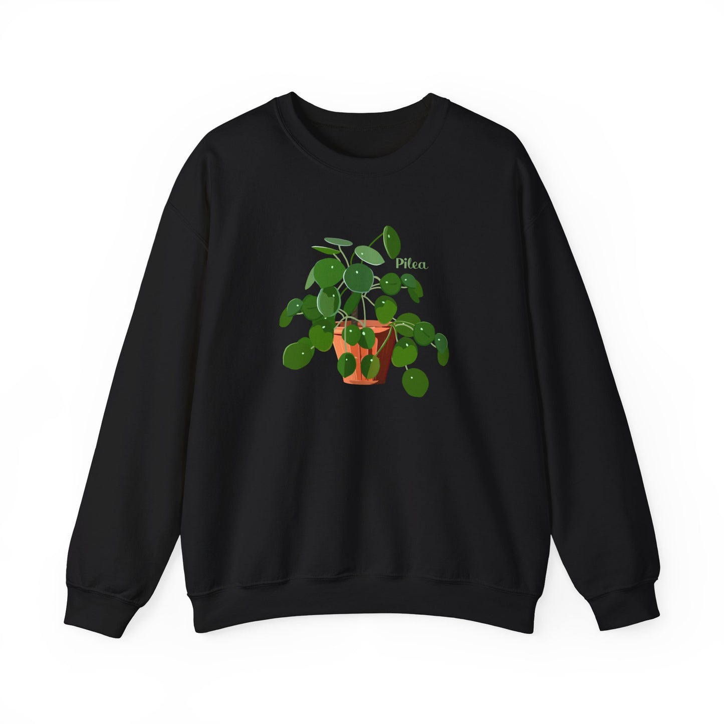 Pilea Peperomioides 'Chinese Money Plant' Plant Lover Crewneck Sweatshirt - Black