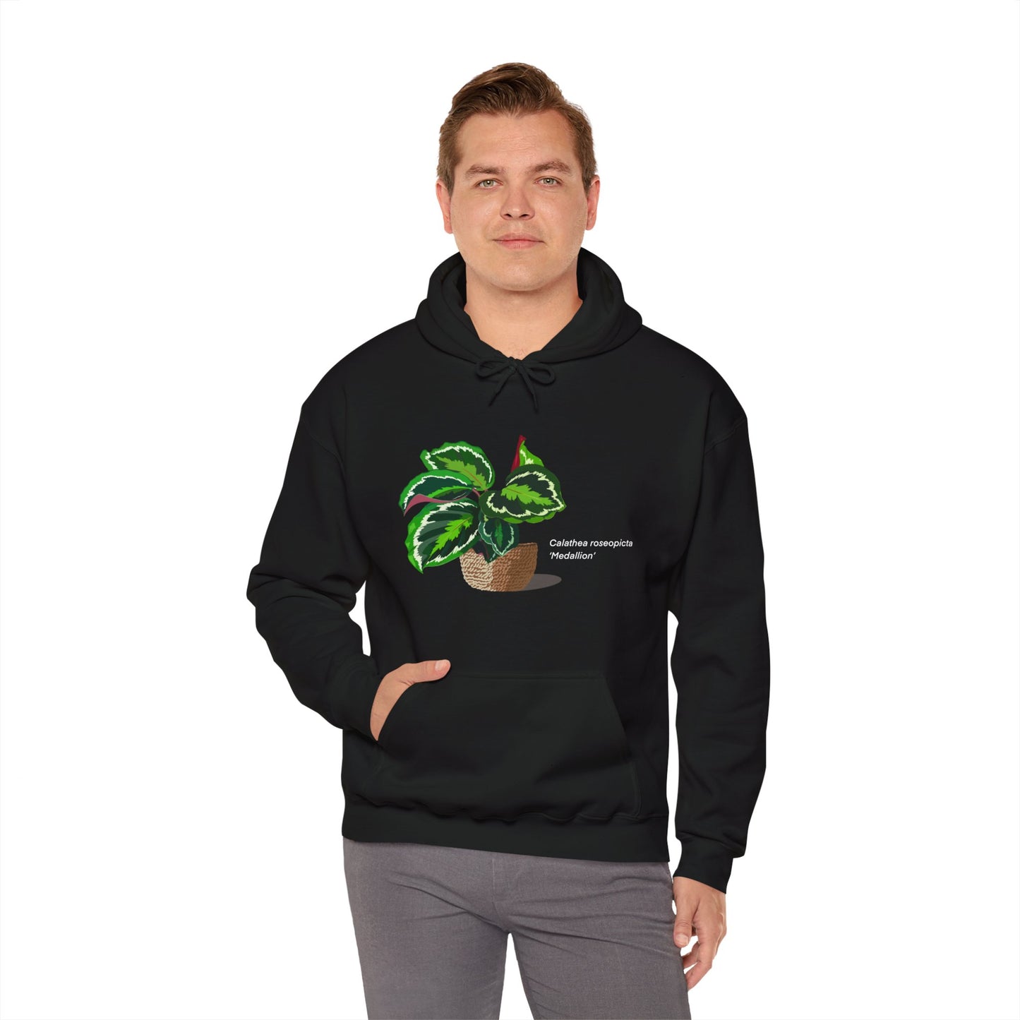 Calathea Roseopicta 'Medallion' Plant Hoodie - Black