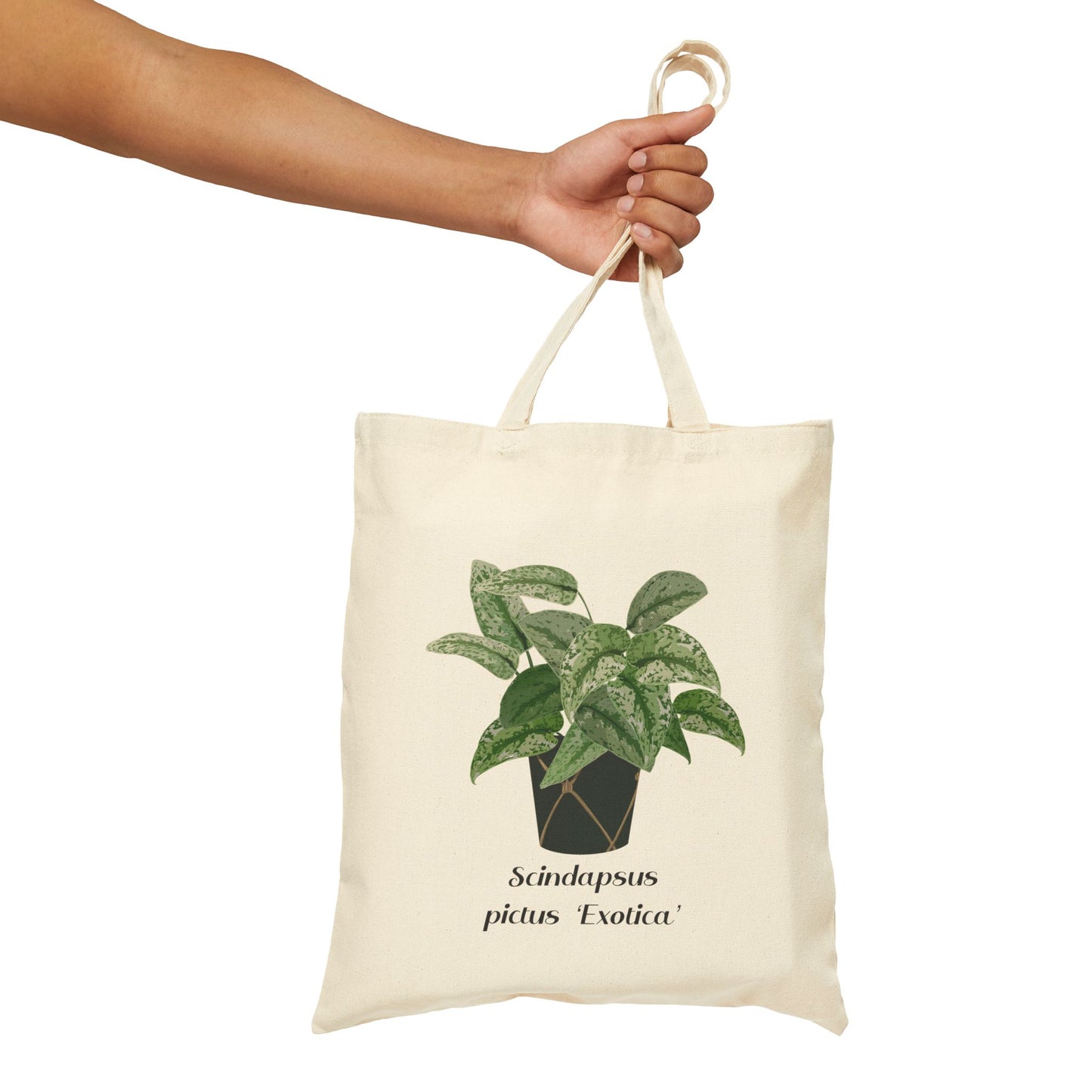 Scindapsus Pictus 'Exotica' Canvas Tote Bag