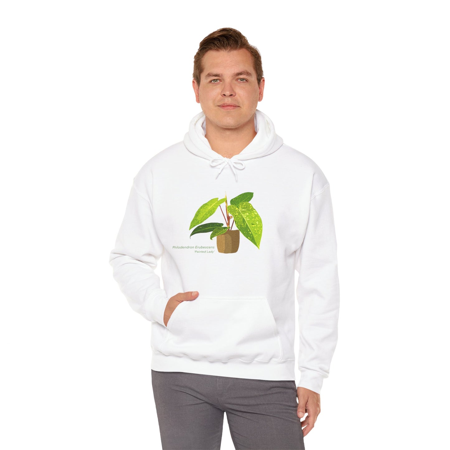 Philodendron Painted Lady Plant Hoodie
