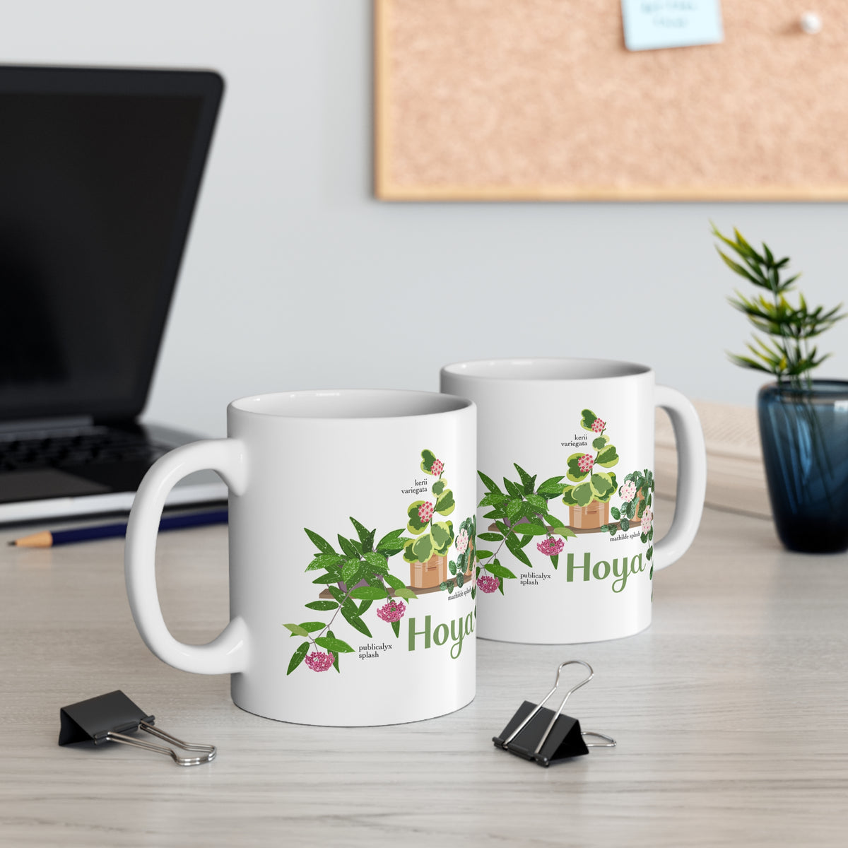 Hoya Mathilde Splash, Kerii Variegata, & Publicalyx Splash Trio Plant Lover Mug - White