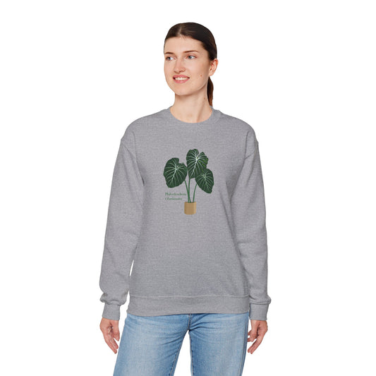Philodendron Gloriosum Plant Lover Sweatshirt