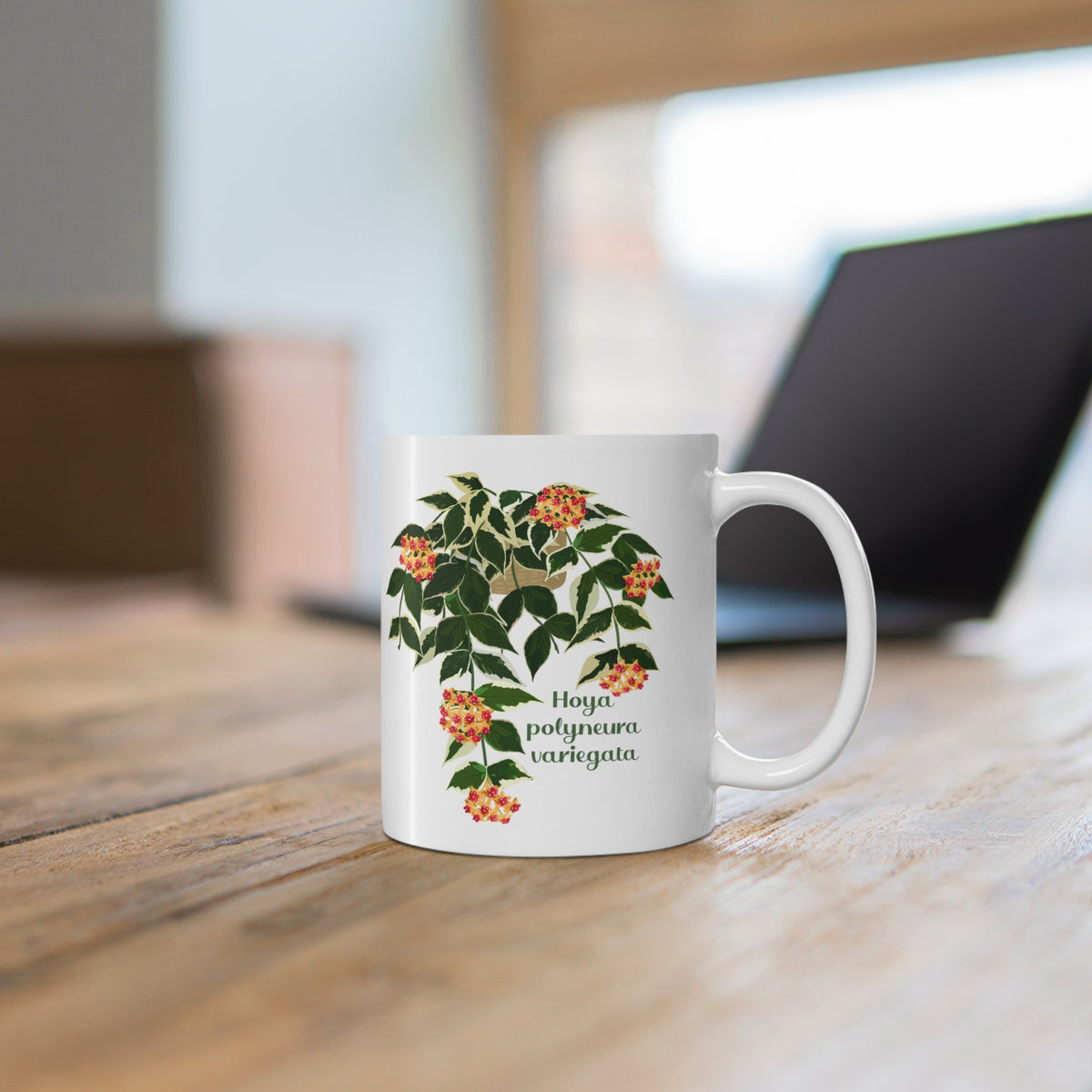 Blooming Hoya Polyneura Variegata Plant Lover Mug - White
