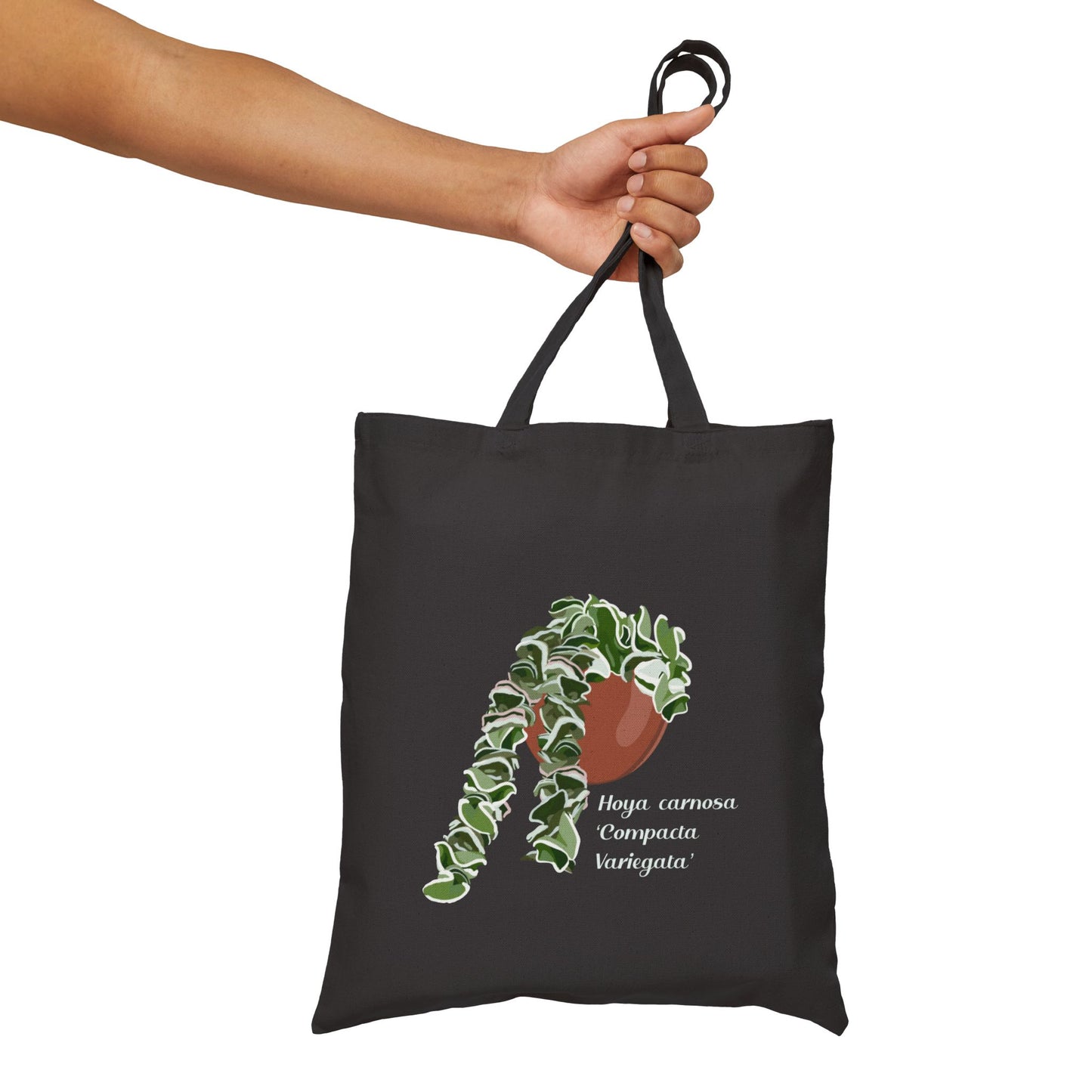 Hoya Carnosa 'Compacta Variegata' Canvas Tote Bag - Black