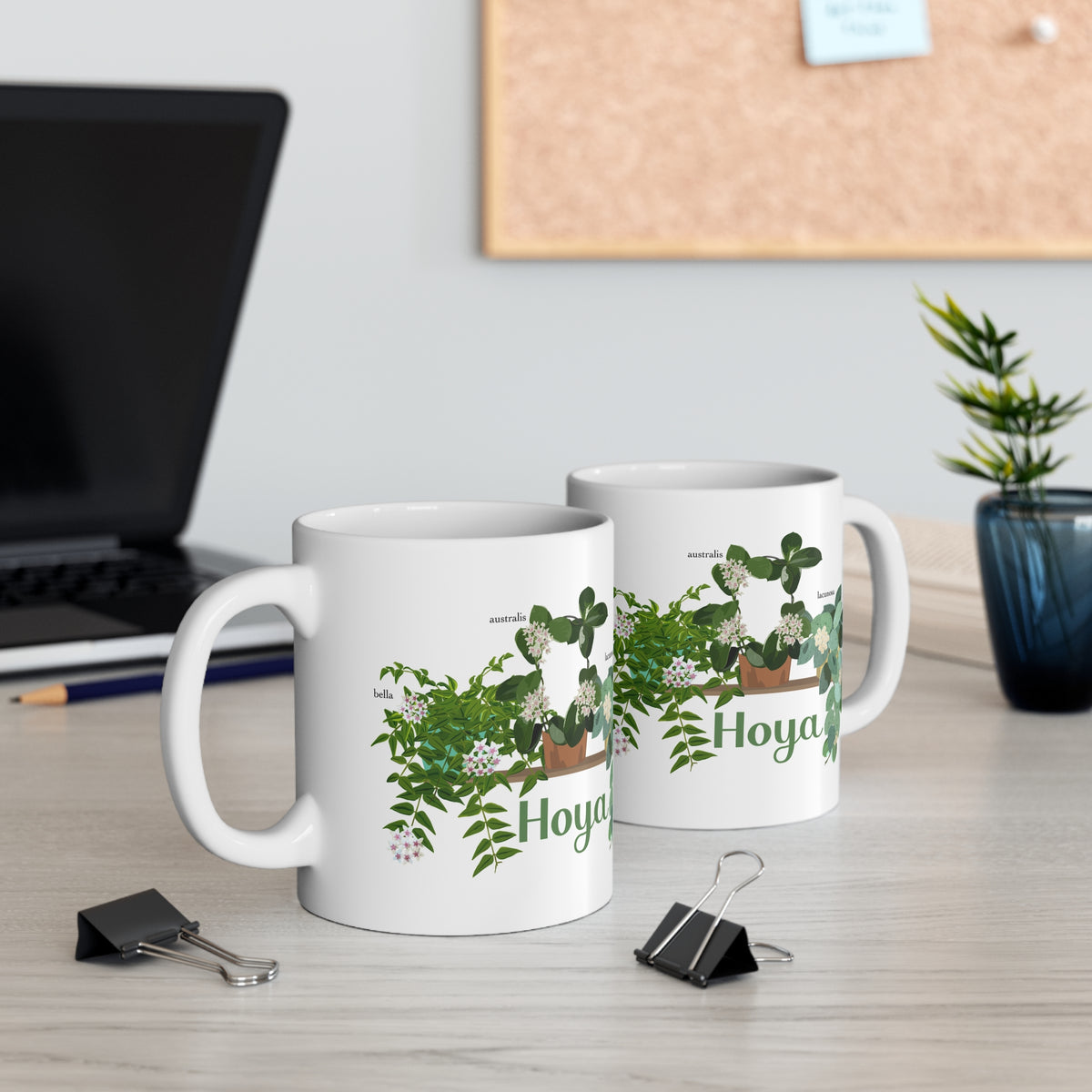 Hoya Lacunosa, Bella, & Australis Trio Plant Lover Mug - White