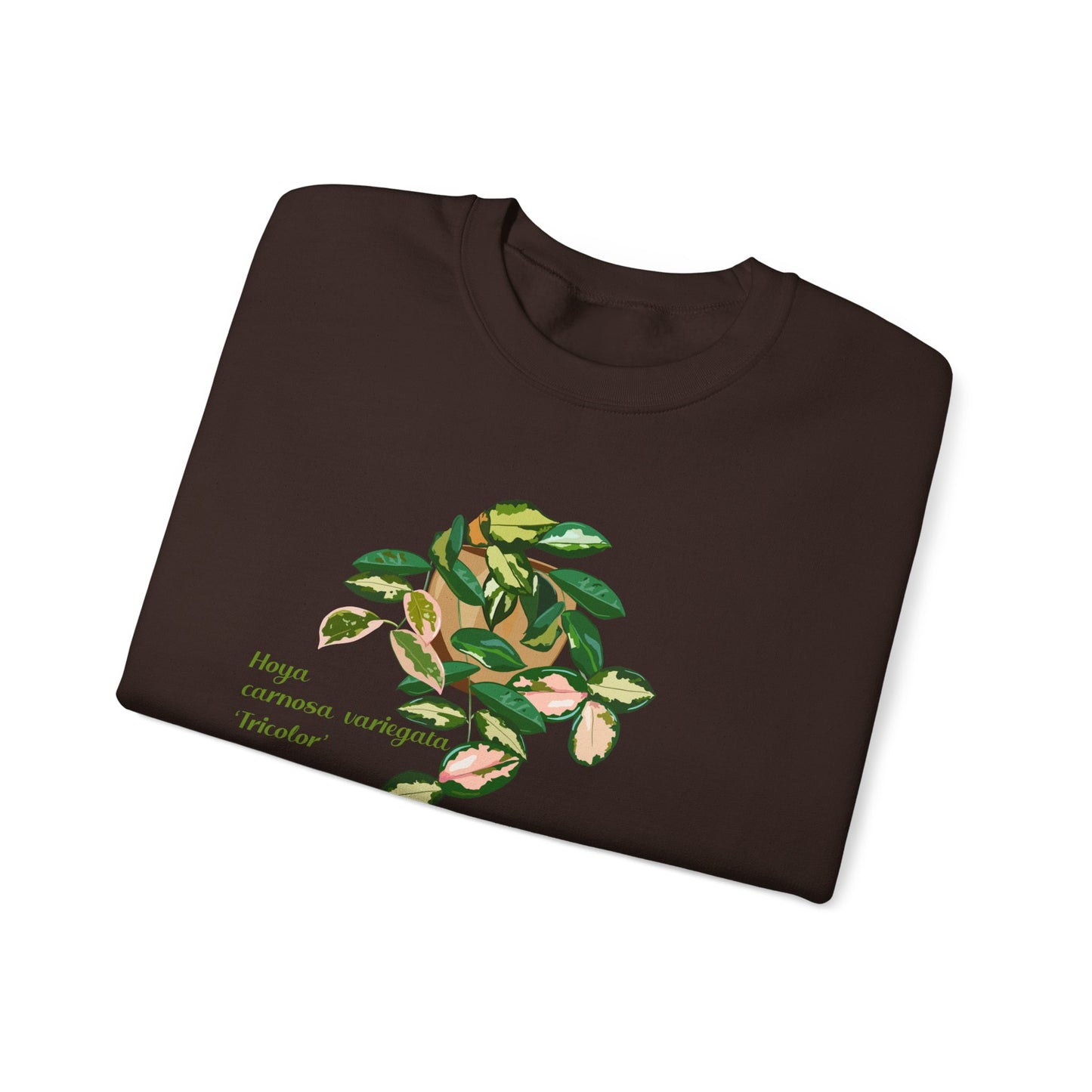 Hoya Carnosa Variegata Tricolor Plant Lover Crewneck Sweatshirt