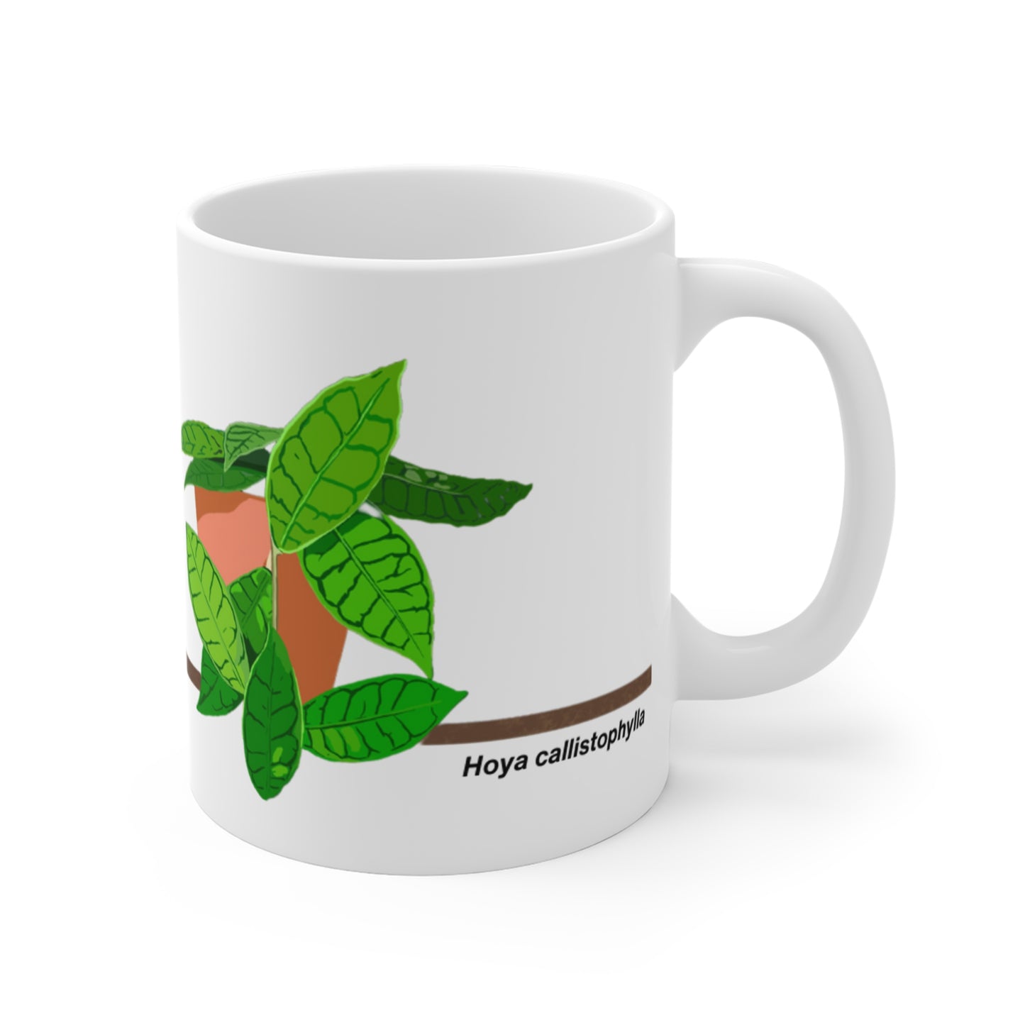 Hoya Callistophylla Plant Lover Mug - White