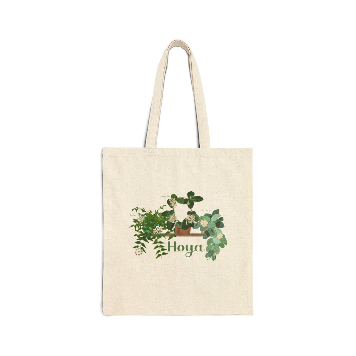 Hoya Lacunosa, Bella, & Australis Trio Canvas Tote Bag
