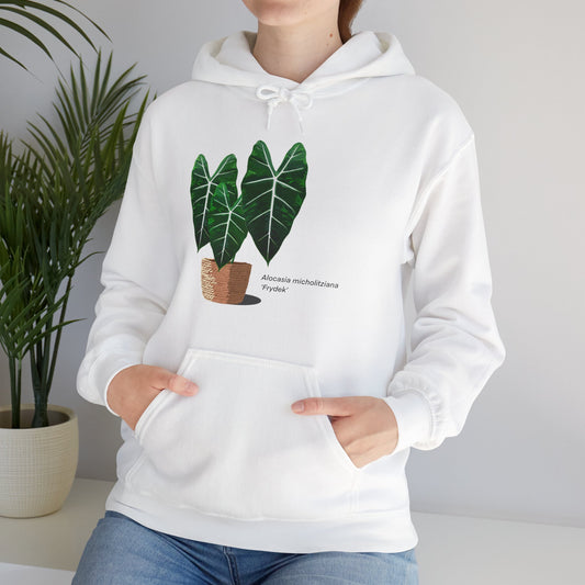 Alocasia Micholitziana 'Frydek' Plant Hoodie - White