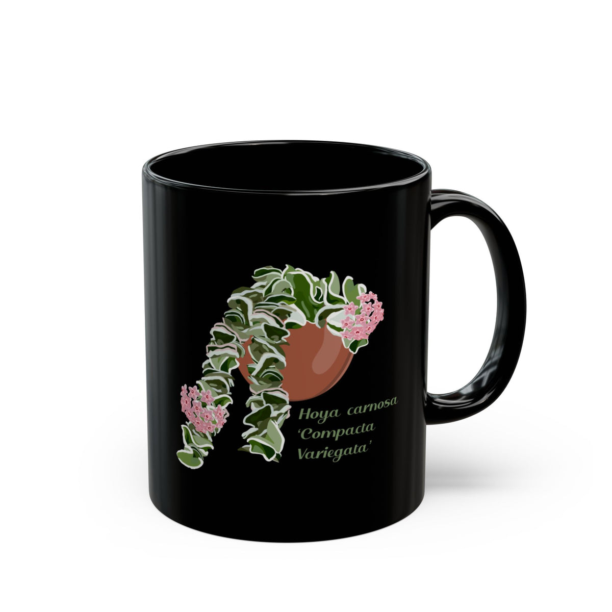 Blooming Hoya Carnosa 'Compacta Variegata' Hindu Rope Plant Lover Mug - Black