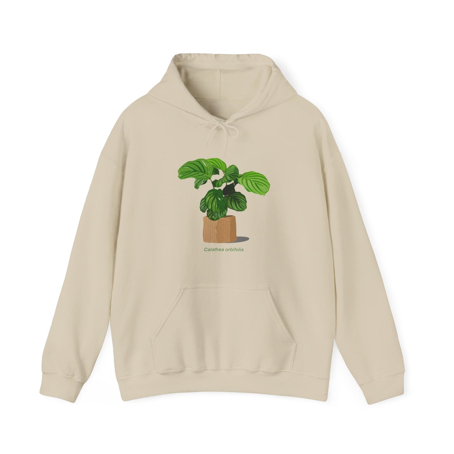 Calathea Orbifolia Plant Hoodie
