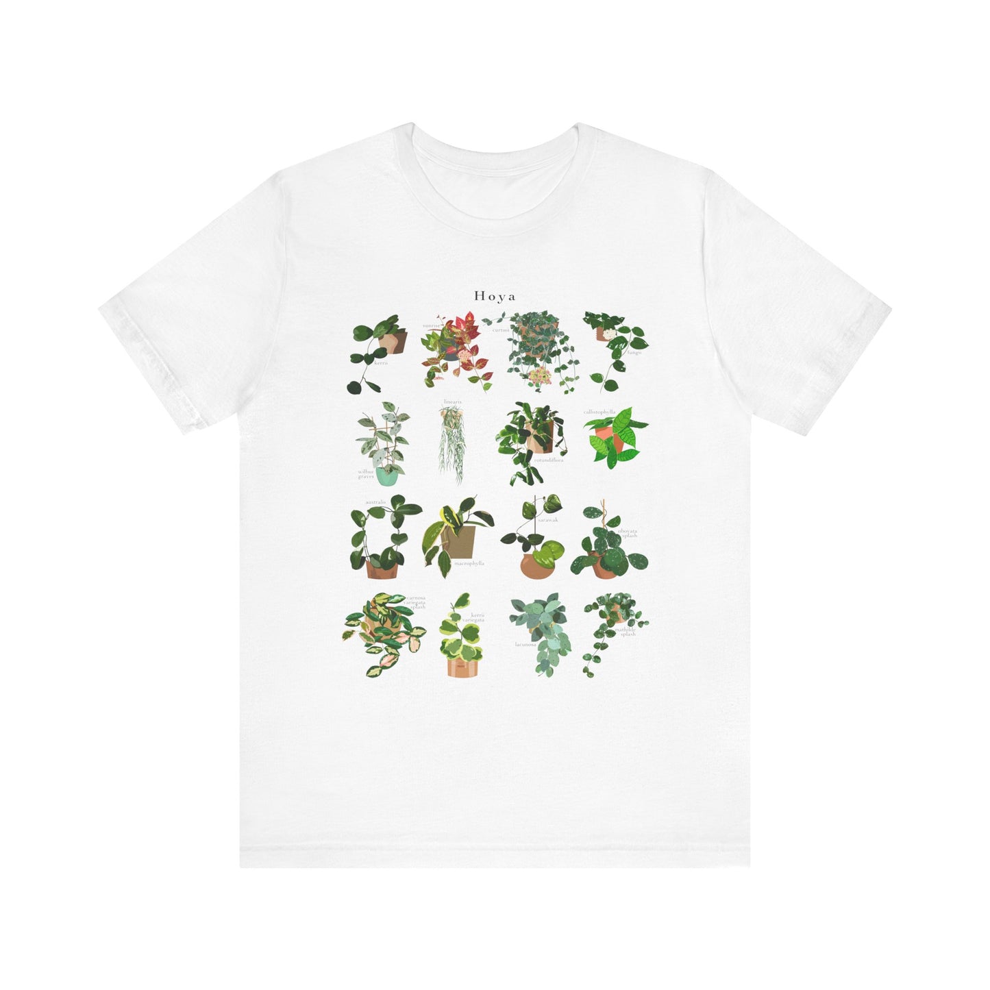 Hoya Chart T-Shirt for Plant Lovers - White, Natural
