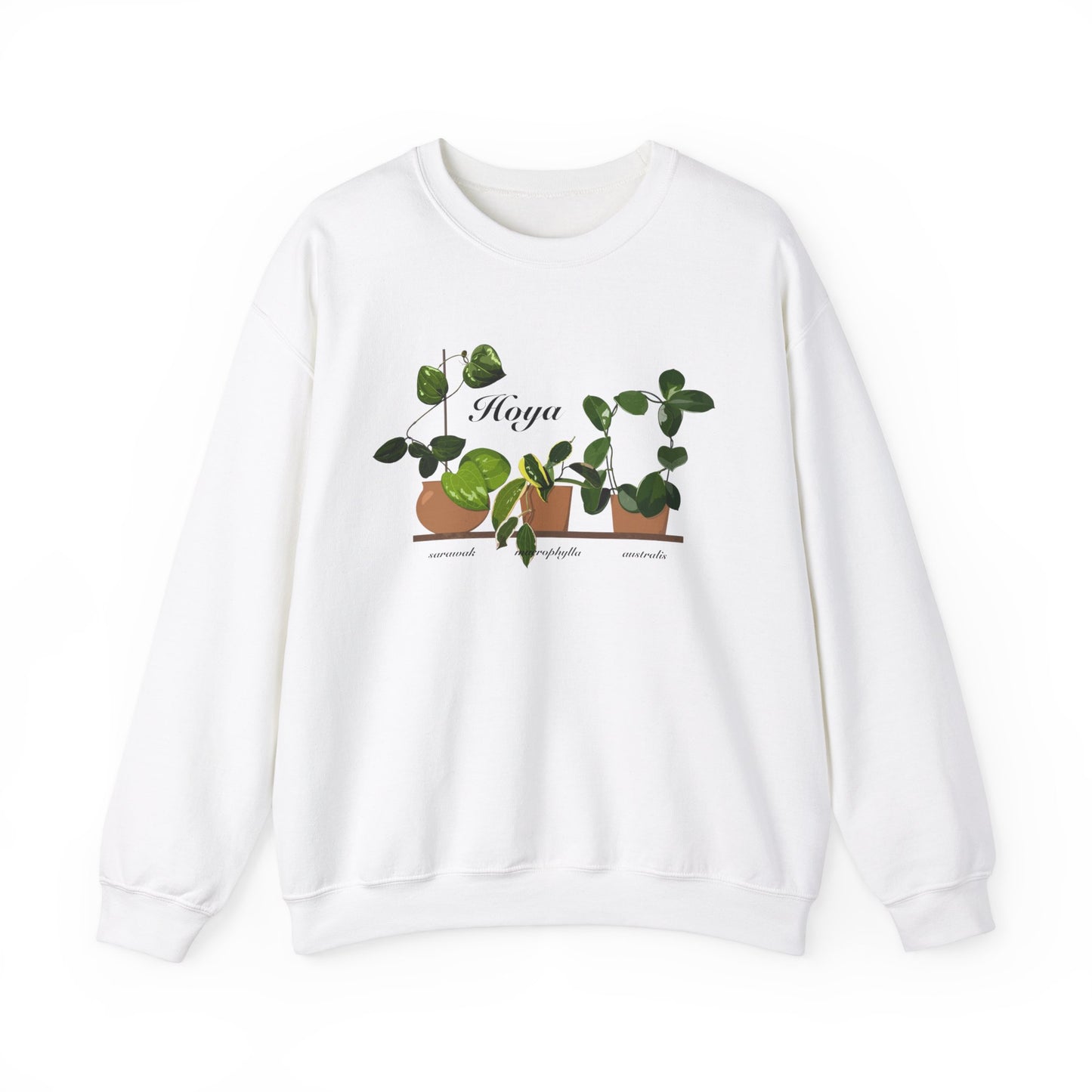 Hoya Sarawak, Macrophylla and Australis Trio Plant Lover Crewneck Sweatshirt - White