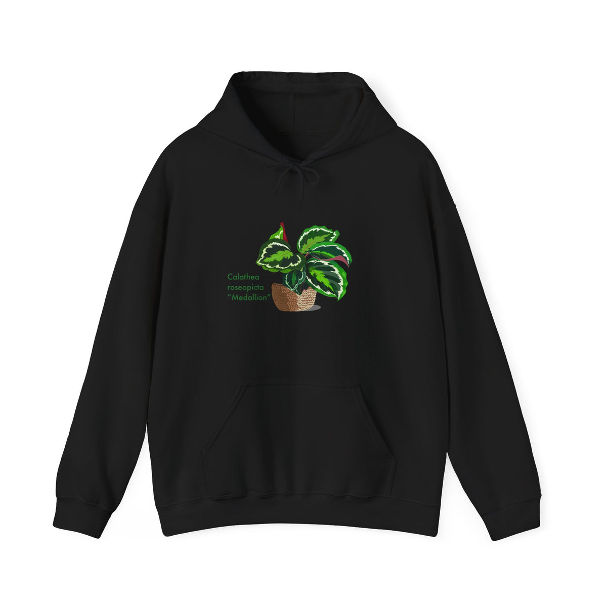 Calathea Roseopicta 'Medallion' Plant Hoodie