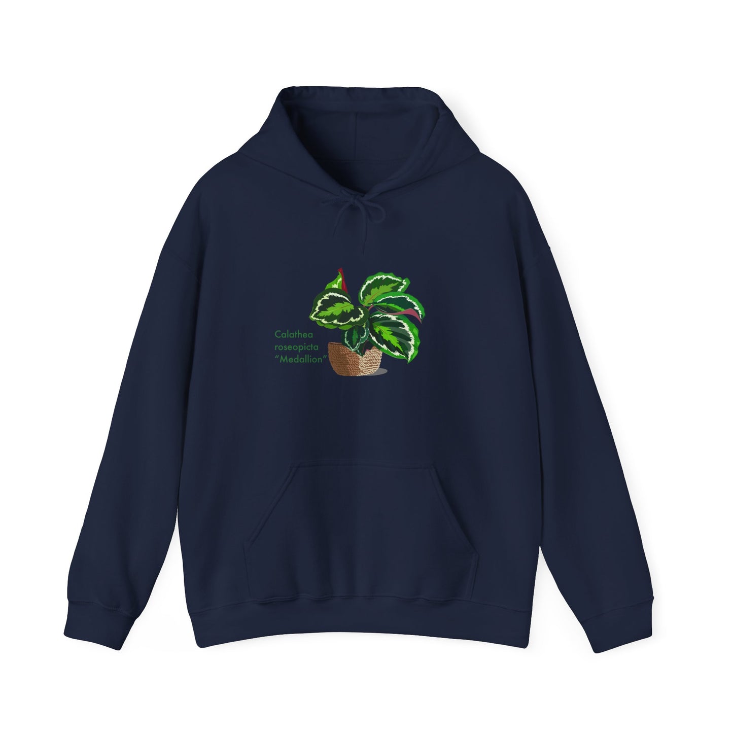 Calathea Roseopicta 'Medallion' Plant Hoodie
