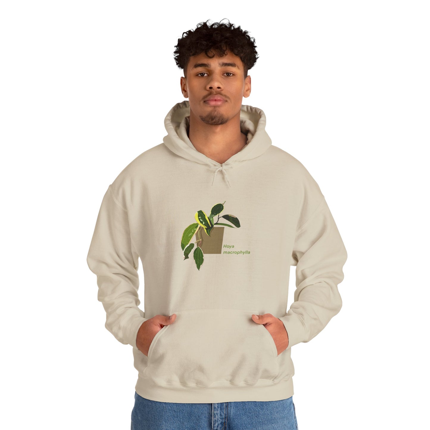 Hoya Macrophylla Plant Hoodie