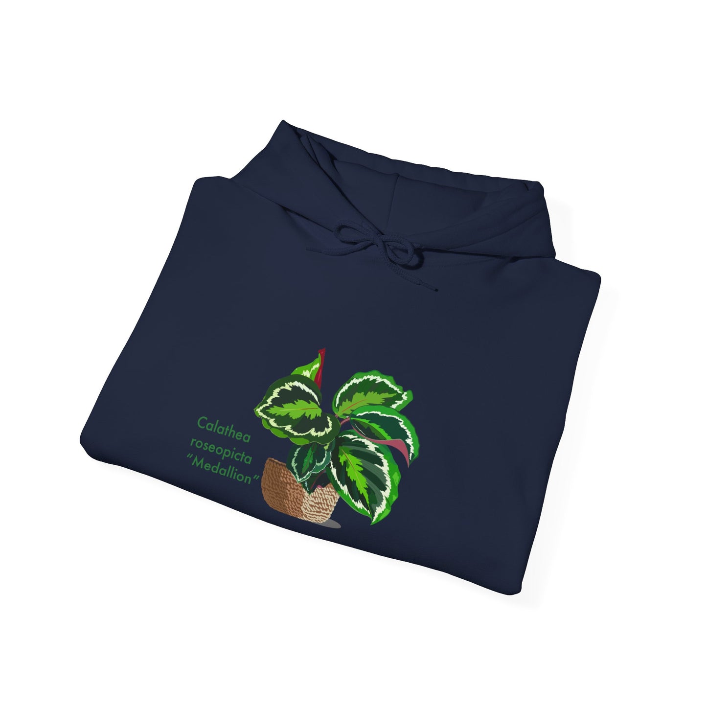 Calathea Roseopicta 'Medallion' Plant Hoodie