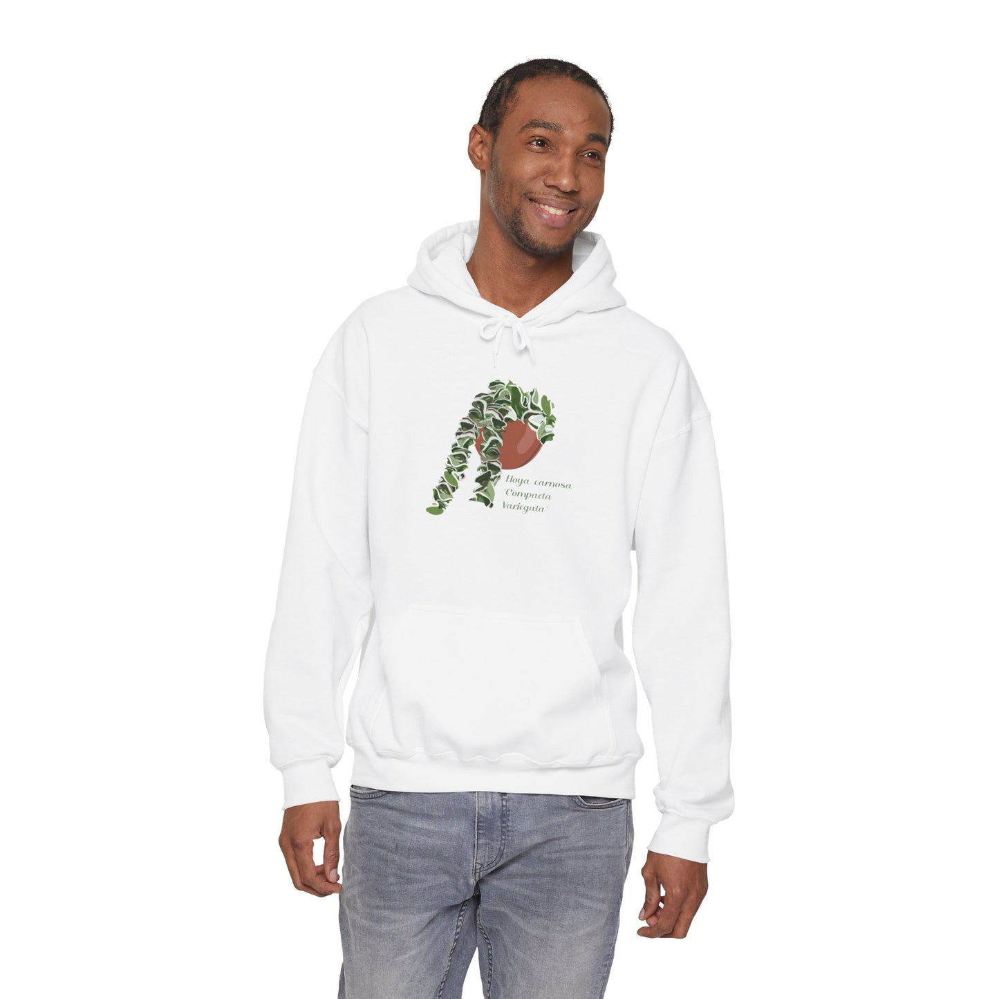 Hoya Carnosa 'Compacta Variegata' Hindu Rope Hoodie