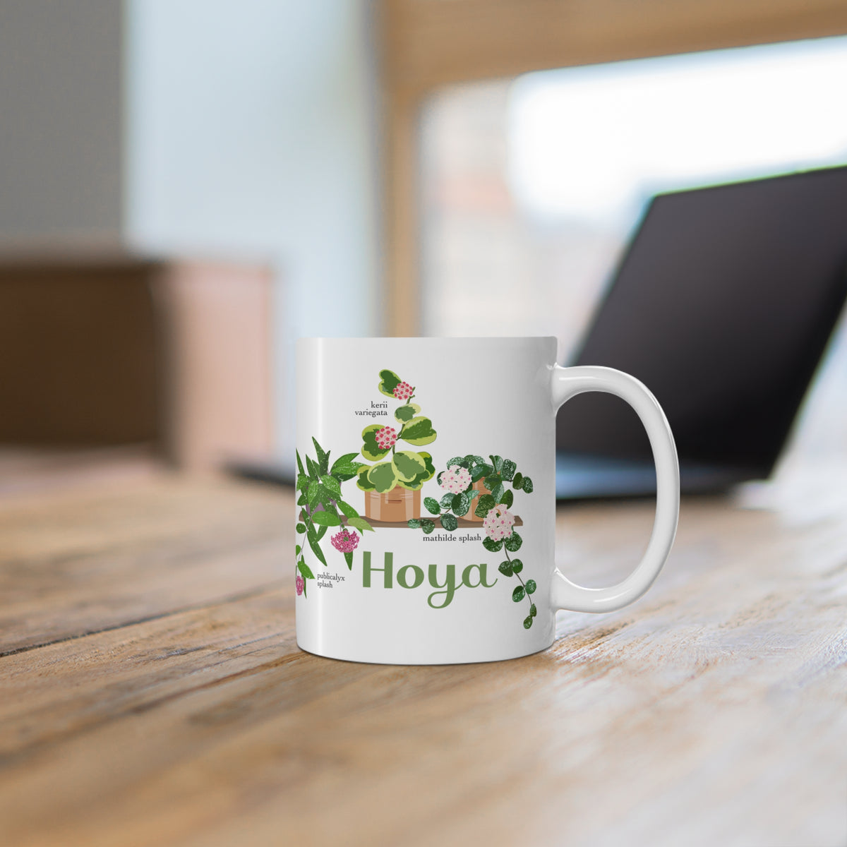 Hoya Mathilde Splash, Kerii Variegata, & Publicalyx Splash Trio Plant Lover Mug - White