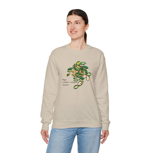 Hoya Carnosa Variegata Tricolor Plant Lover Crewneck Sweatshirt - Beige