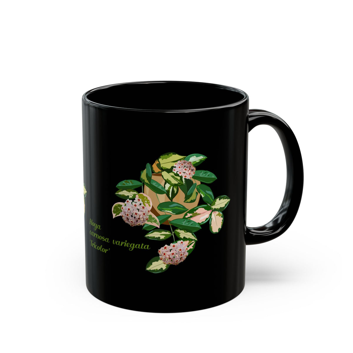 Blooming Hoya Carnosa Variegata 'Tricolor' Plant Lover Mug - Black