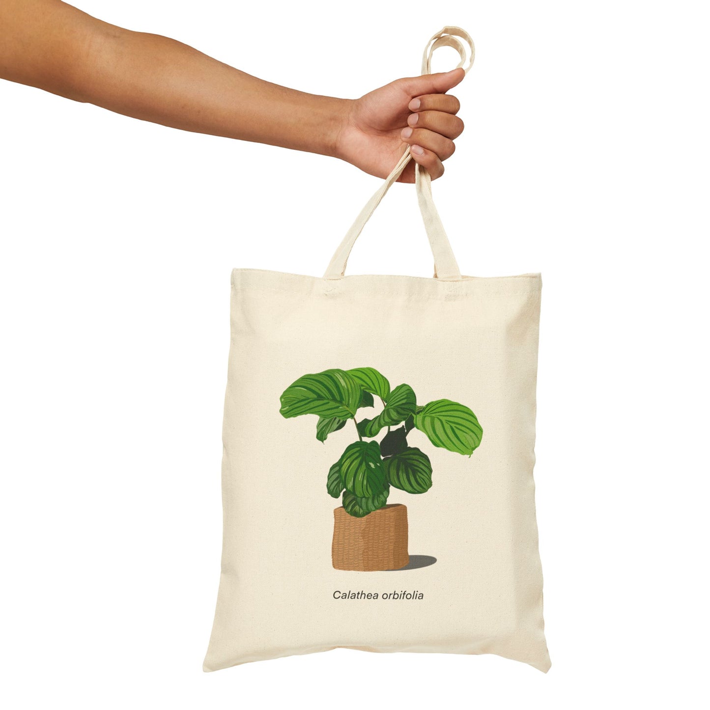 Calathea Orbifolia Canvas Tote Bag