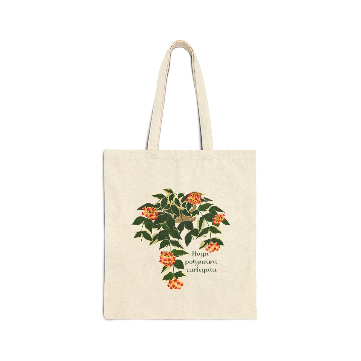Blooming Hoya Polyneura Variegata Canvas Tote Bag | Potted Houseplant Illustration, Plant Lover Tote