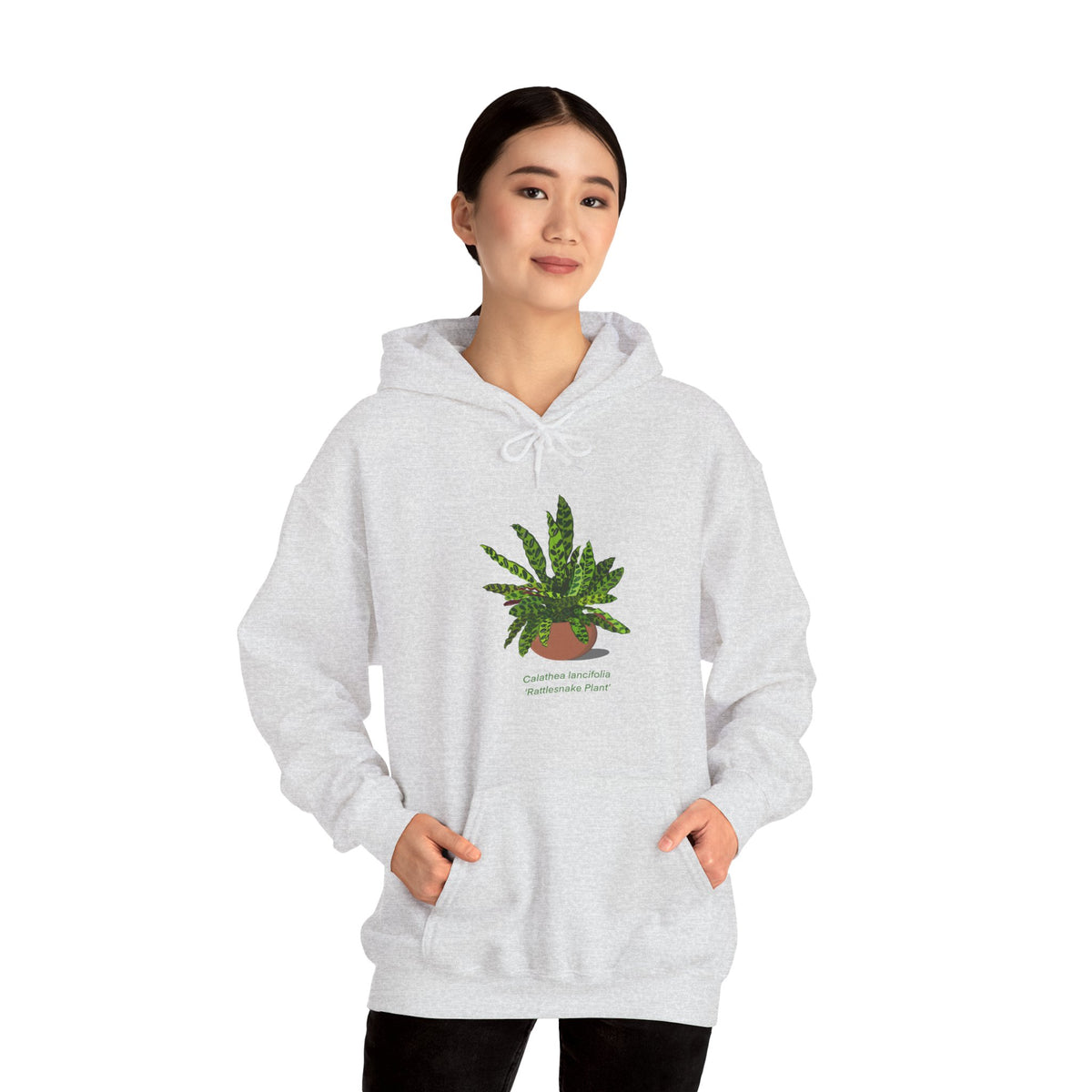 Calathea Lancifolia Rattlesnake Plant Hoodie