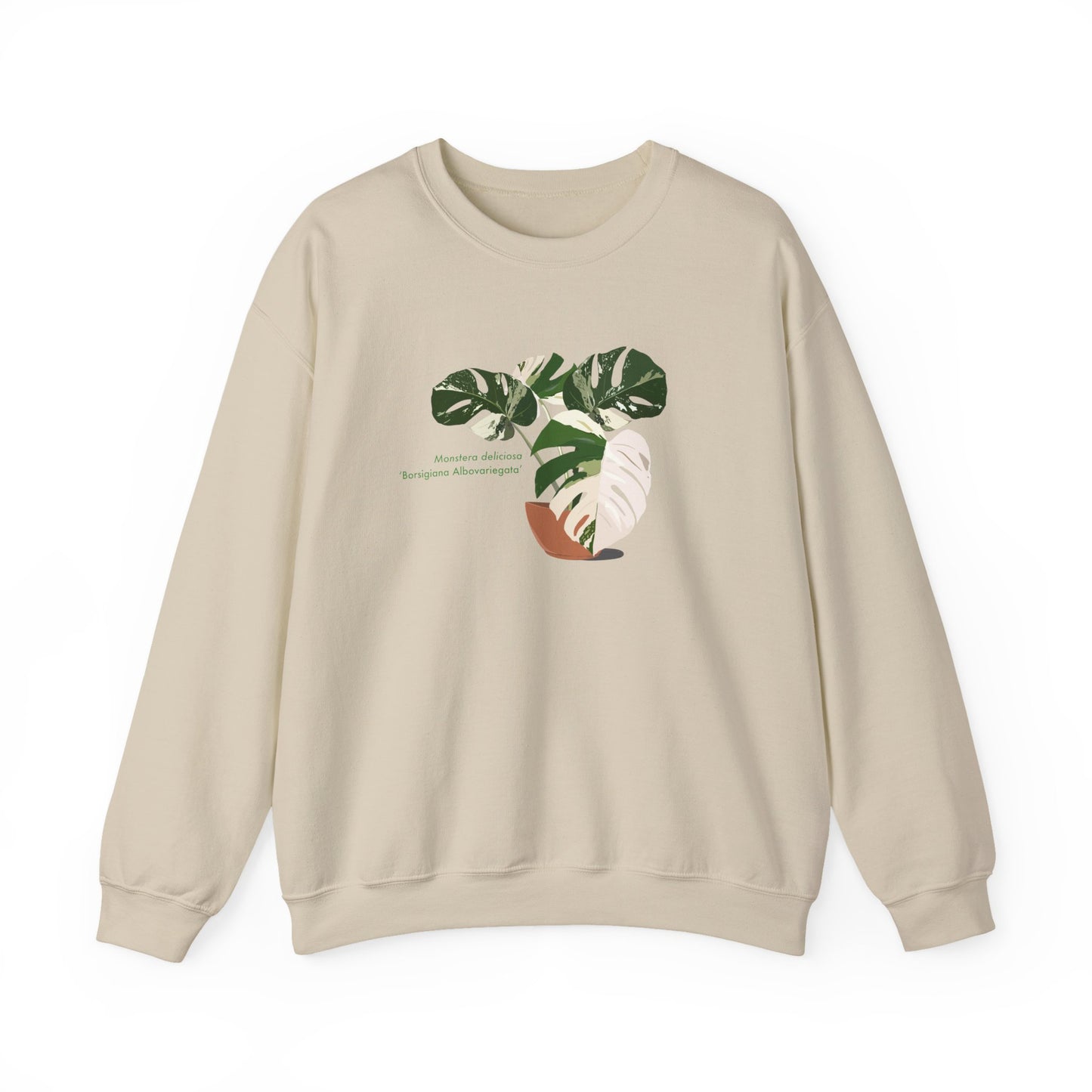 Monstera Deliciosa Borsigiana Albovariegata Plant Lover Crewneck Sweatshirt