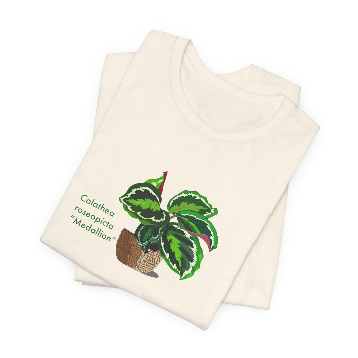 Calathea Roseopicta "Medallion" Plant Lover T-Shirt - White, Natural, Black