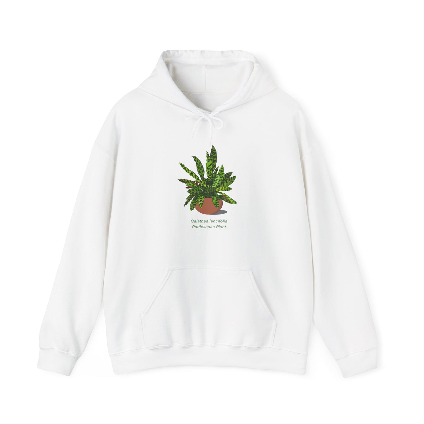 Calathea Lancifolia Rattlesnake Plant Hoodie