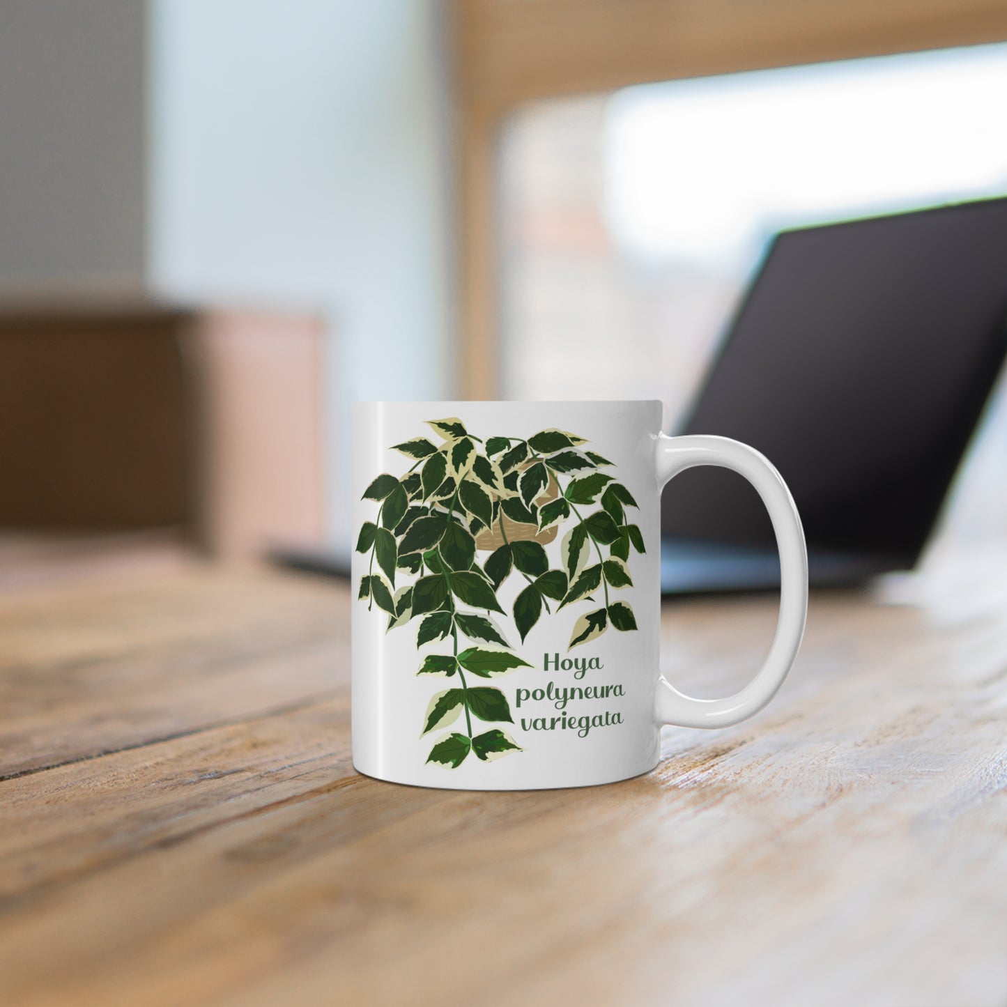 Hoya polyneura variegata mug.  Perfect gift for Hoya fans, plant moms and dads, plant collectors and houseplant lovers!  Nature lover mug.