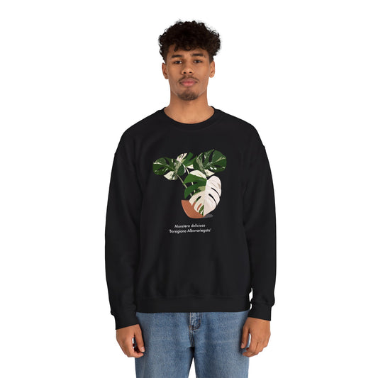 Monstera Deliciosa Borsigiana Albovariegata Plant Lover Crewneck Sweatshirt - Black