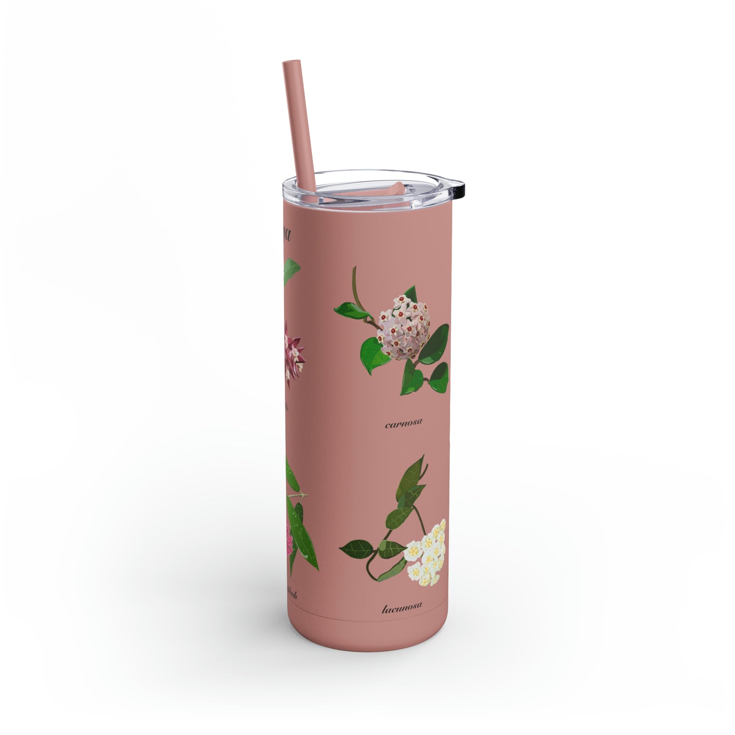 Hoyas in Bloom Tumbler.  Maars Maker Skinny Matte Tumbler, 20oz.  Beautiful tumbler to take with you to work, gym, hiking or plant shopping!